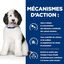 Hill's - Croquettes Prescription Diet C/D Urinary Care pour Chiens - 1,5Kg Indicateur image numéro 4