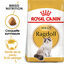 Royal Canin - Croquettes Ragdoll Adult pour Chat - 2Kg Indicateur image numéro 1