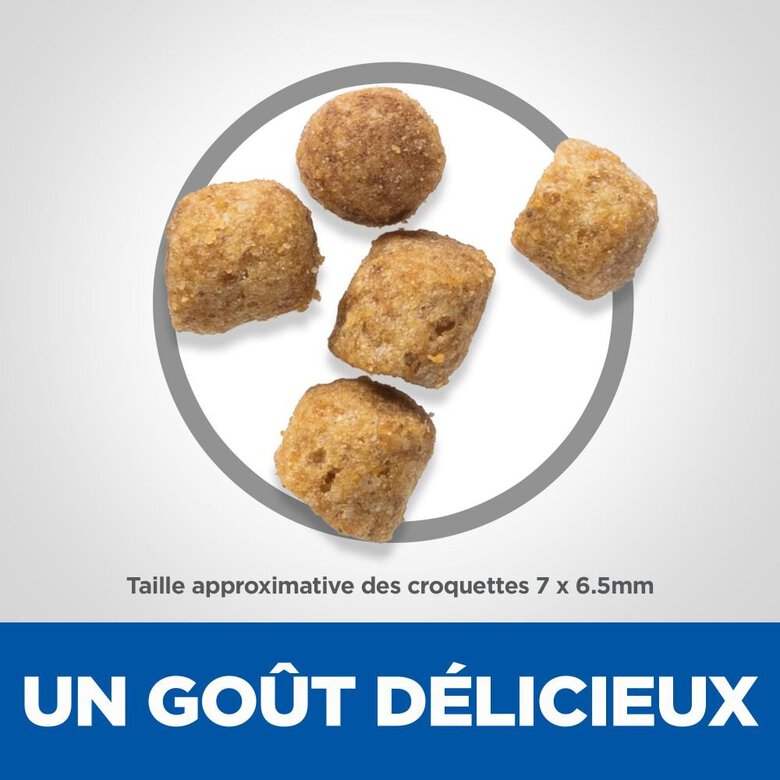 Hill's Science Plan -  Sterilised Cat Croquettes Pour Chat Stérilisé Au Poulet  -  1,5kg Image numéro 5 Hill's Science Plan -  Sterilised Cat Croquettes Pour Chat Stérilisé Au Poulet  -  1,5kg Image numéro 5