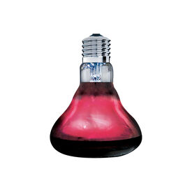 Arcadia - Lampe Infrarouge Basking Spot 100 Watt - Réptiles