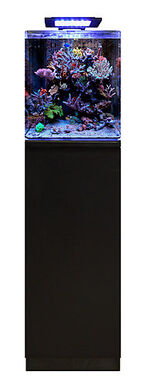 Blue Marine - Nano Aquarium REEF 60 Equipé - 63L