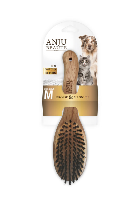 Anju Beaute - Brosse Douce pour Chiens - M Image numéro 1 Anju Beaute - Brosse Douce pour Chiens - M Image numéro 1