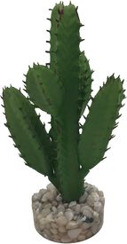 Labeo - Succulente moyen modèle Plante Artificielle Aquarium et Terrarium