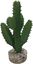 Labeo - Succulente moyen modèle Plante Artificielle Aquarium et Terrarium Indicateur image numéro 1