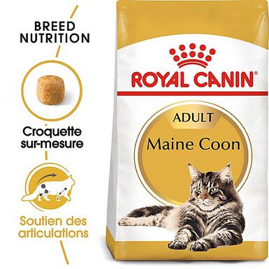 Royal Canin - Croquettes Maine Coon pour Chat Adulte - 4Kg