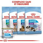 Royal Canin - Boîte Starter Mousse Mother & Babydog en Patée pour Chien - 195g image number null