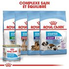 Royal Canin - Boîte Starter Mousse Mother & Babydog en Patée pour Chien - 195g image number null