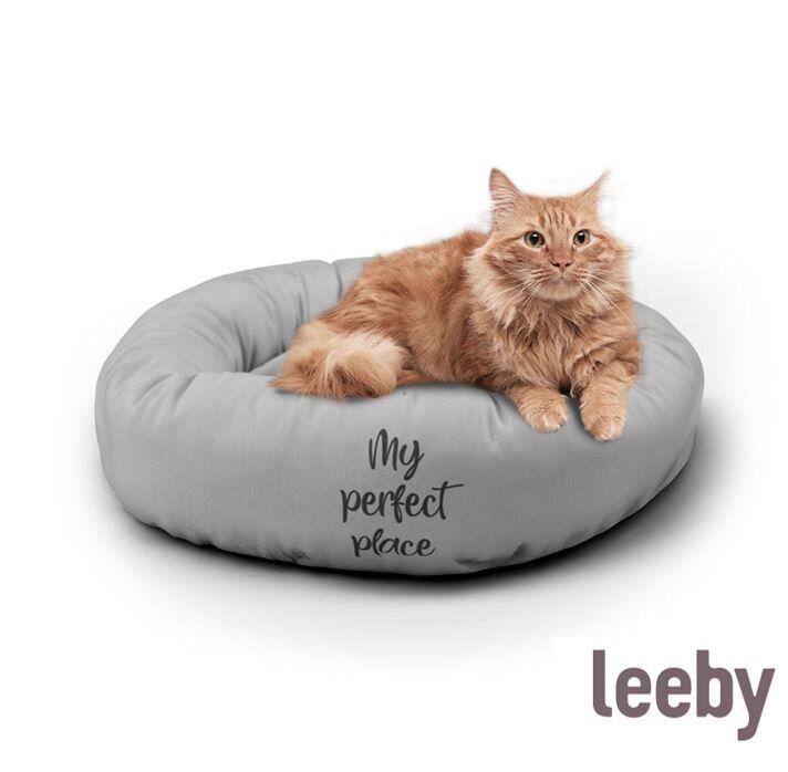 Leeby - Donut My Favourite Place pour Chats - Gris Image num&eacute;ro 1