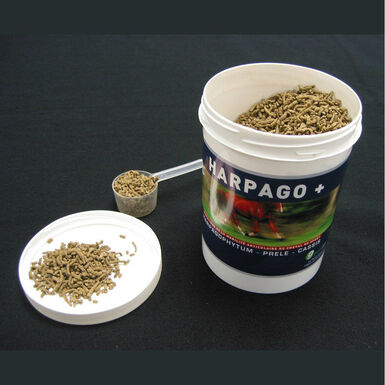 Greenpex - Seau HARPAGO + Soins pour Chevaux - 4,5Kg