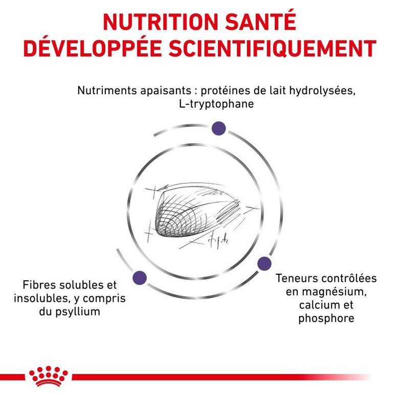 Royal Canin - Croquettes Veterinary Diet Calm pour Chats - 2Kg Image numéro 3 Royal Canin - Croquettes Veterinary Diet Calm pour Chats - 2Kg Image numéro 3