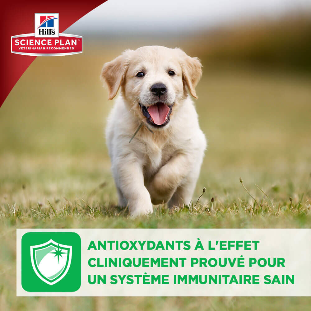 Hill's Science Plan - Croquettes Healthy Development Medium Puppy Poulet pour Chiot - 3Kg Image num&eacute;ro 7