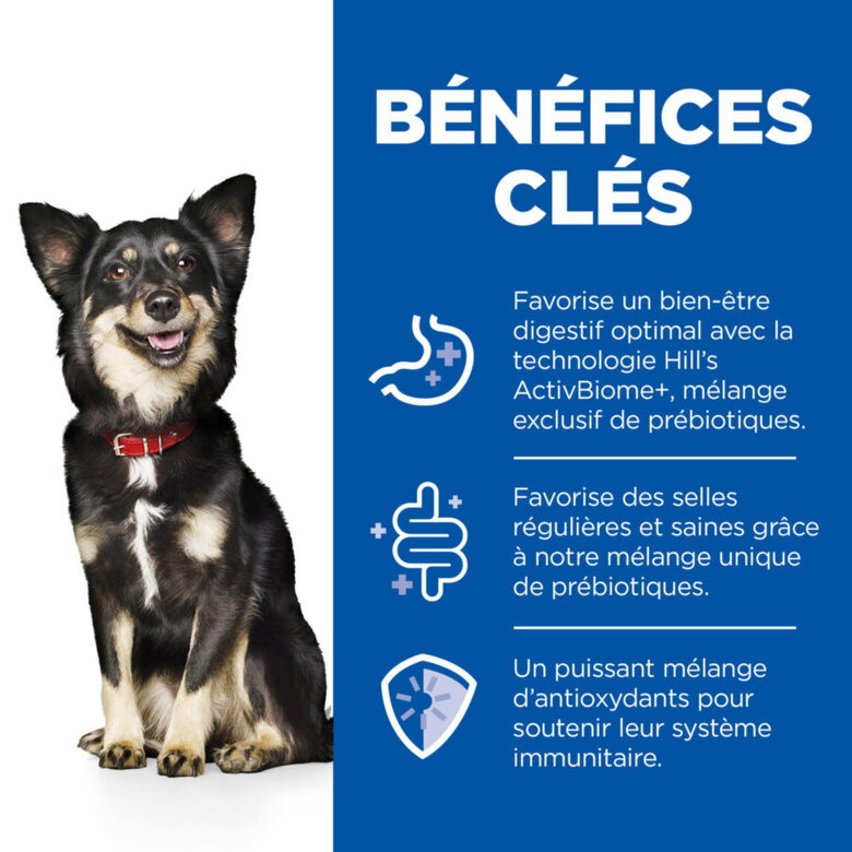 Hill’s Science Plan Perfect Digestion Adult Small&Mini Mousse Chien Adulte Petite Race Dinde - 200g Image numéro 3 Hill’s Science Plan Perfect Digestion Adult Small&Mini Mousse Chien Adulte Petite Race Dinde - 200g Image numéro 3