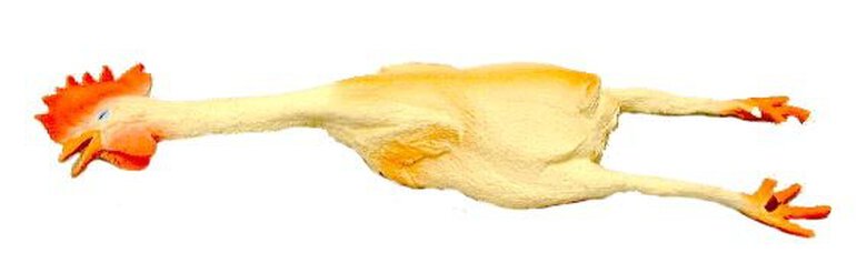 Anka - Jouet Poulet en Latex pour Chien - 42cm Image numéro 1 Anka - Jouet Poulet en Latex pour Chien - 42cm Image numéro 1