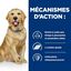 Hill's Prescription Diet- Croquettes Diet J/D Mobility pour Chiens - 12Kg Indicateur image numéro 5