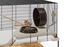 Ferplast - Cage Karat 80 pour Petits Rongeurs - 45x78x52cm Indicateur image numéro 7