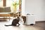 Rotho MyPet - Maison de Toilette Biala pour Chat - Blanc Indicateur image numéro 7