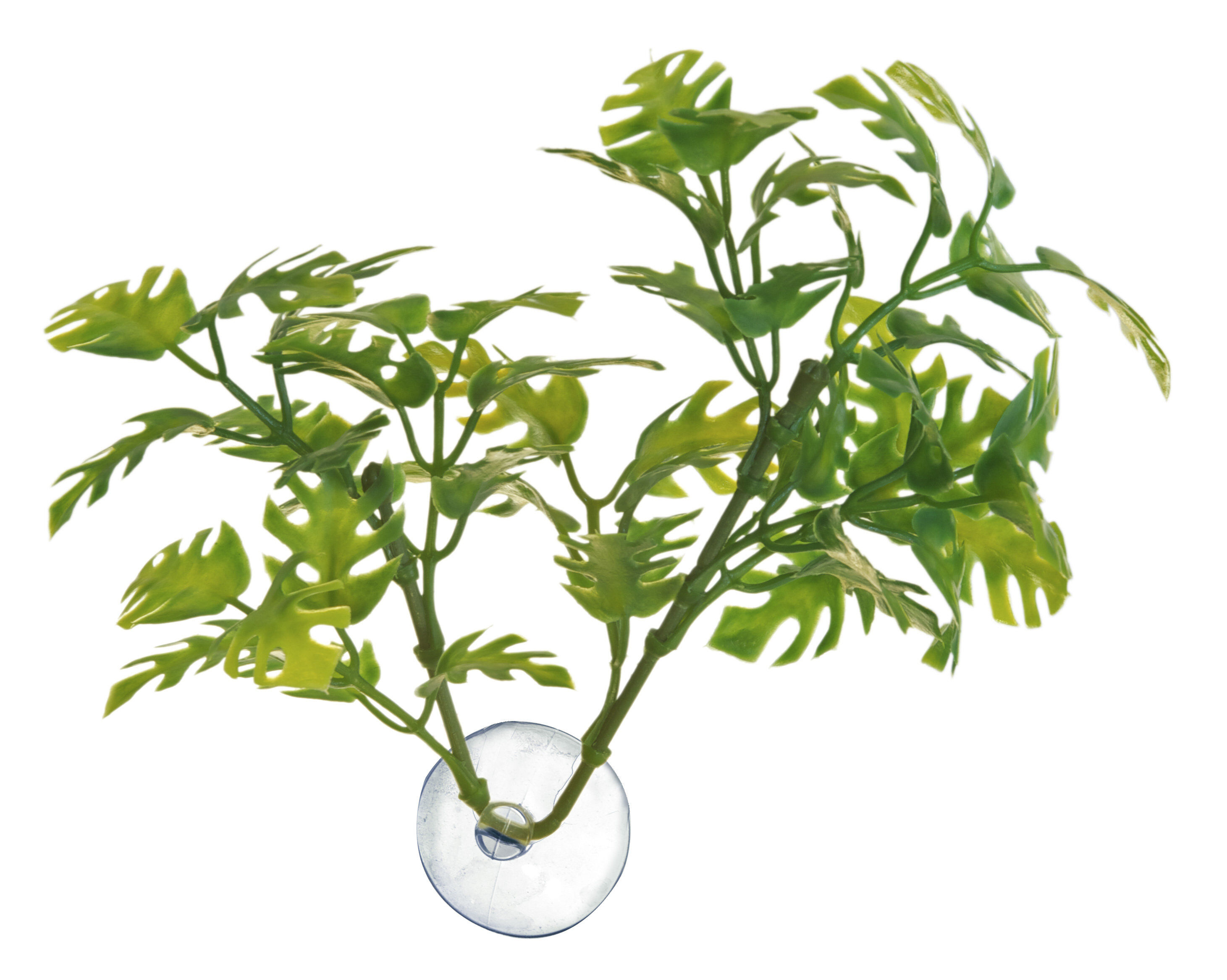 Zoomed - Plante artificielle avec ventouse pour aquarium - Window leaf Image num&eacute;ro 2