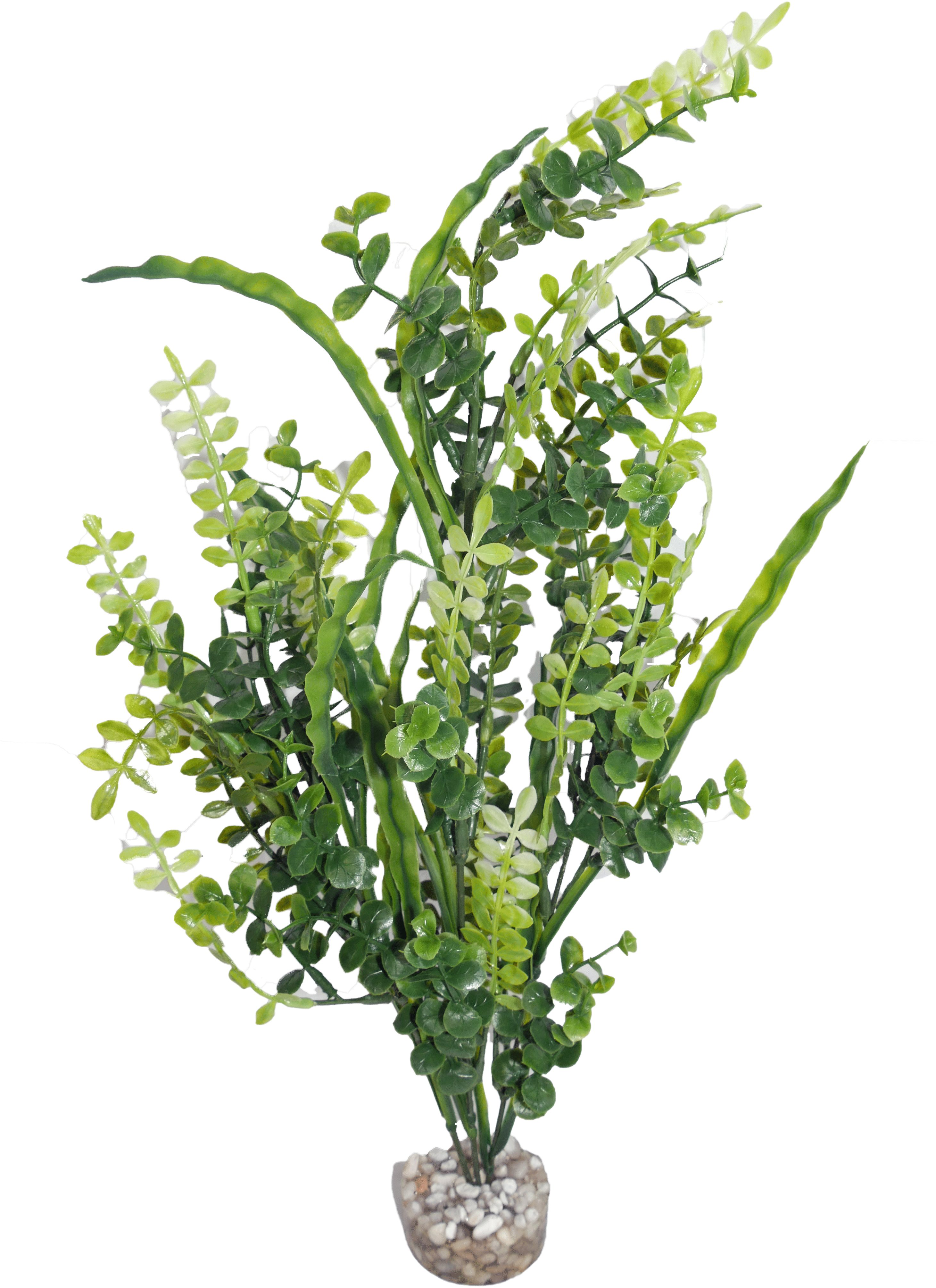 Labeo - Arbre assorti grand mod&egrave;le - Plante Artificielle Aquarium Image num&eacute;ro 5