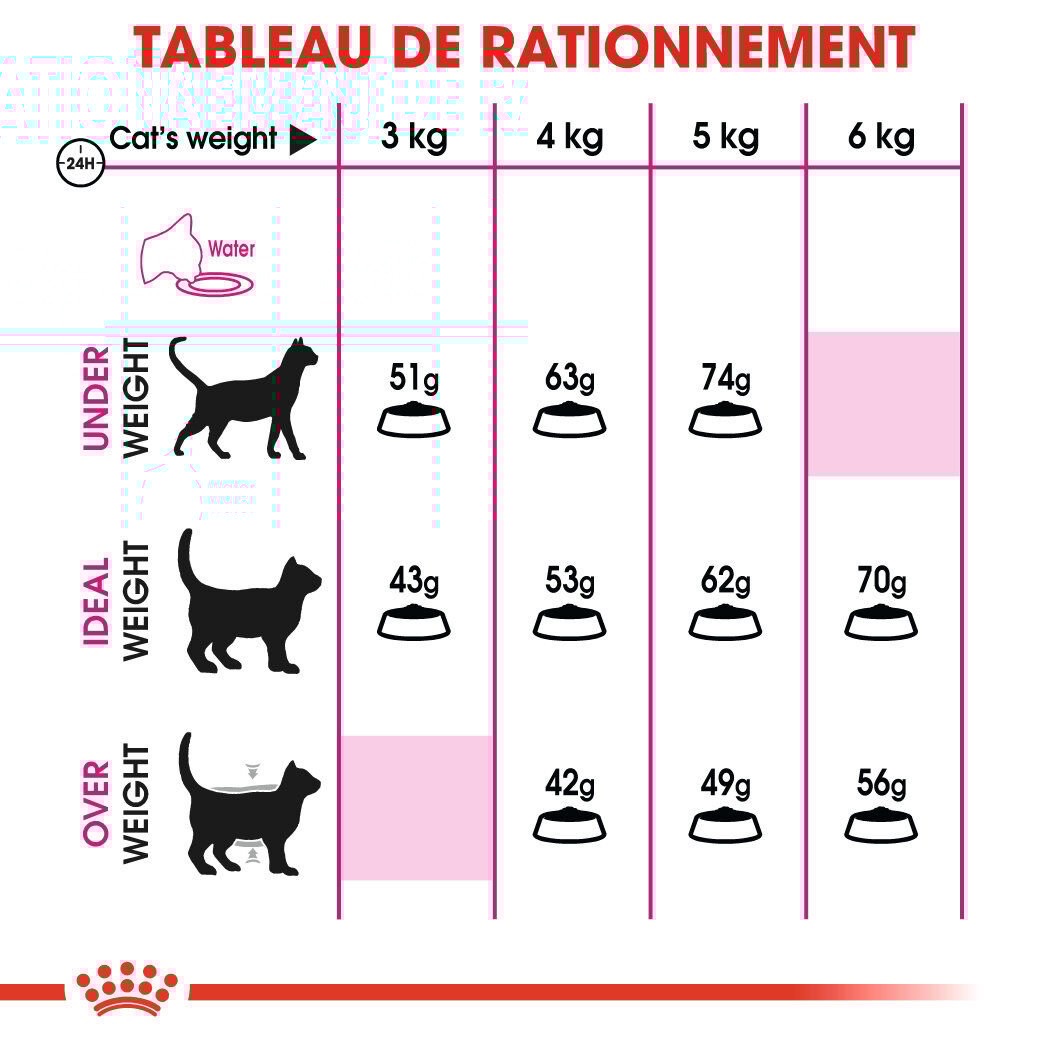 Royal Canin - Croquettes Savour Exigent pour Chats Difficiles - 10Kg Image num&eacute;ro 4
