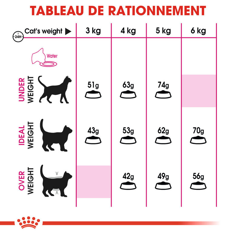 Royal Canin - Croquettes Savour Exigent pour Chats Difficiles - 10Kg Image numéro 4 Royal Canin - Croquettes Savour Exigent pour Chats Difficiles - 10Kg Image numéro 4