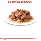 Royal Canin - Sachets Sterilised en Sauce pour Chat - 12x85g image number null