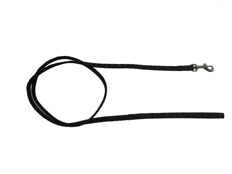 Gotoo - Set Funny pour Chat - Noir Image numéro 3 Gotoo - Set Funny pour Chat - Noir Image numéro 3