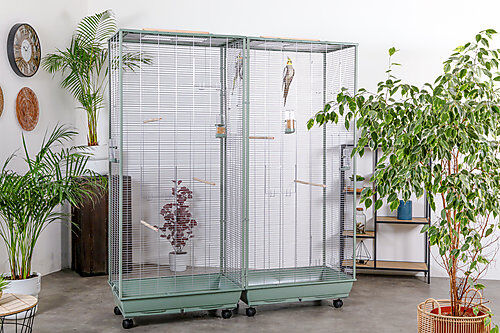 Zolux - Voli&egrave;re Neolife Connect XL pour Oiseaux - Vert Image num&eacute;ro 2