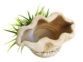 Sydeco - Décoration Plante Artificielle Benitier Large pour Aquarium