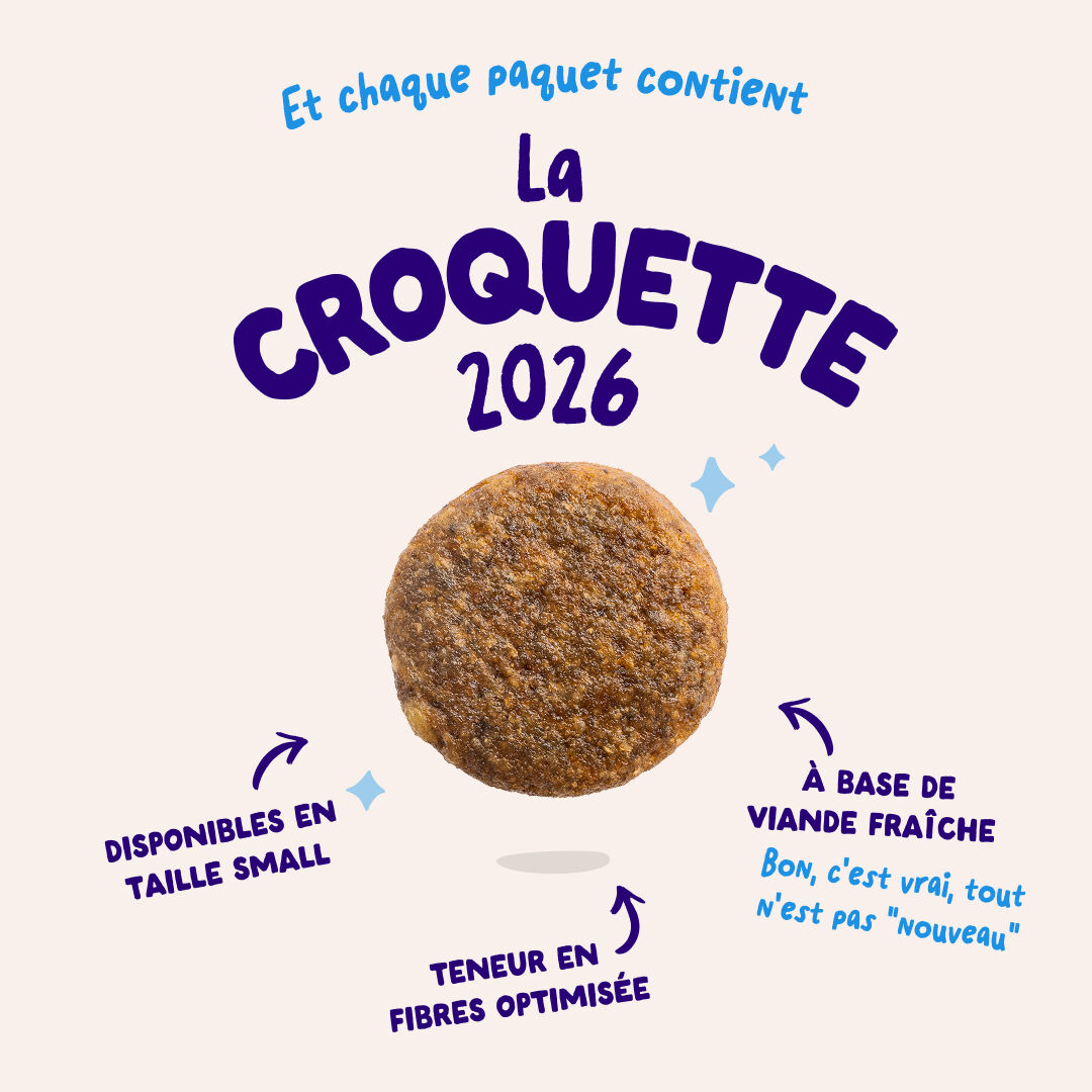 Edgard & Cooper - Croquettes au Saumon pour Chien - 2,5Kg Image num&eacute;ro 6