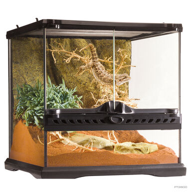 Exo Terra - Terrarium en Verre pour Reptile - 30x30x30cm