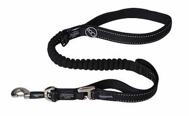 Rogz - Laisse Control Lead Anti-choc pour Chien - Noir