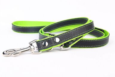 Yogipet - Laisse Réglable Cuir Nylon 220cm pour Chien - Vert