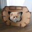 Croci - Maison Griffoir en Carton pour Chats - 50x38x35cm Indicateur image numéro 7