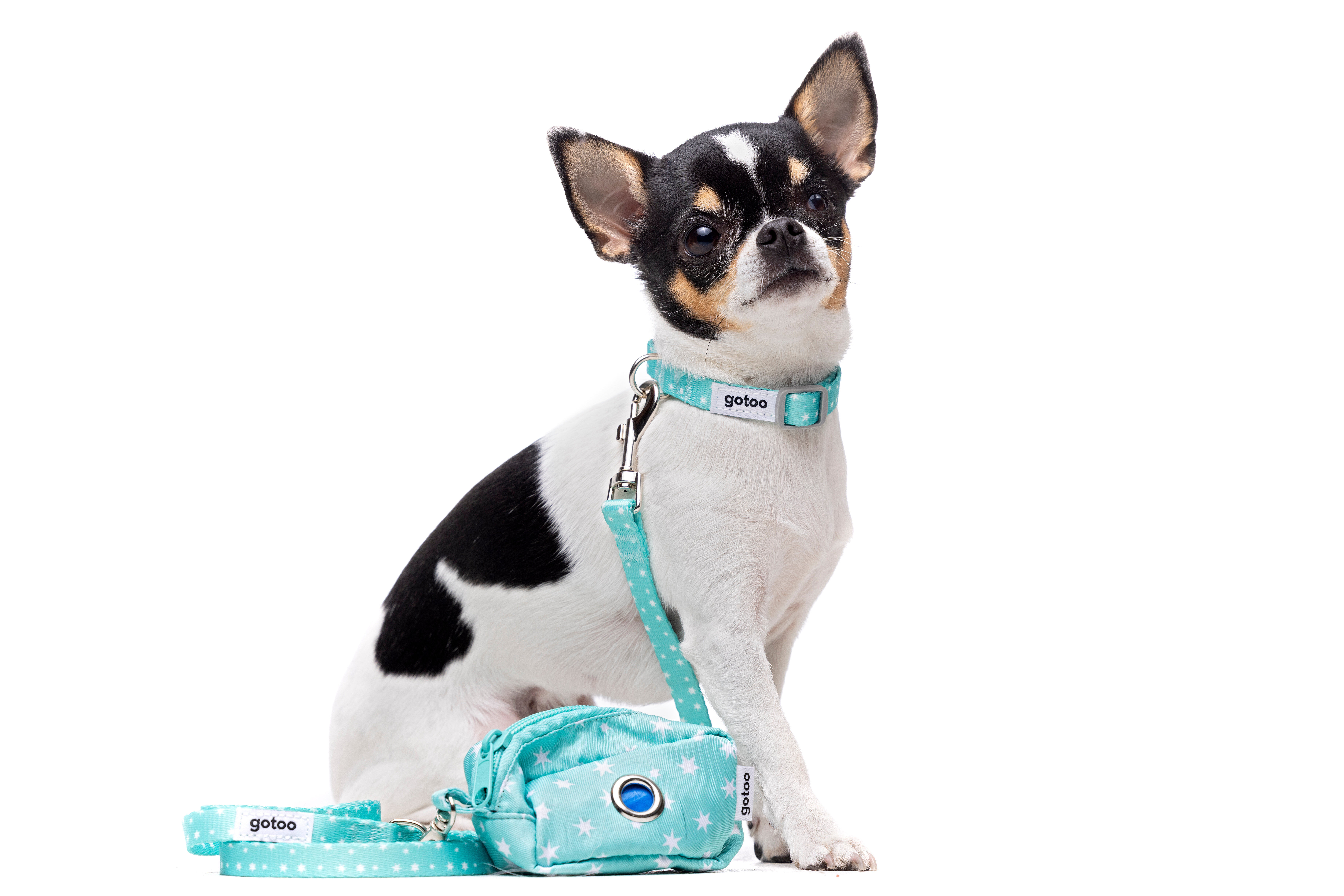 Gotoo - Set Etoiles Bleu pour Chiot Image num&eacute;ro 5