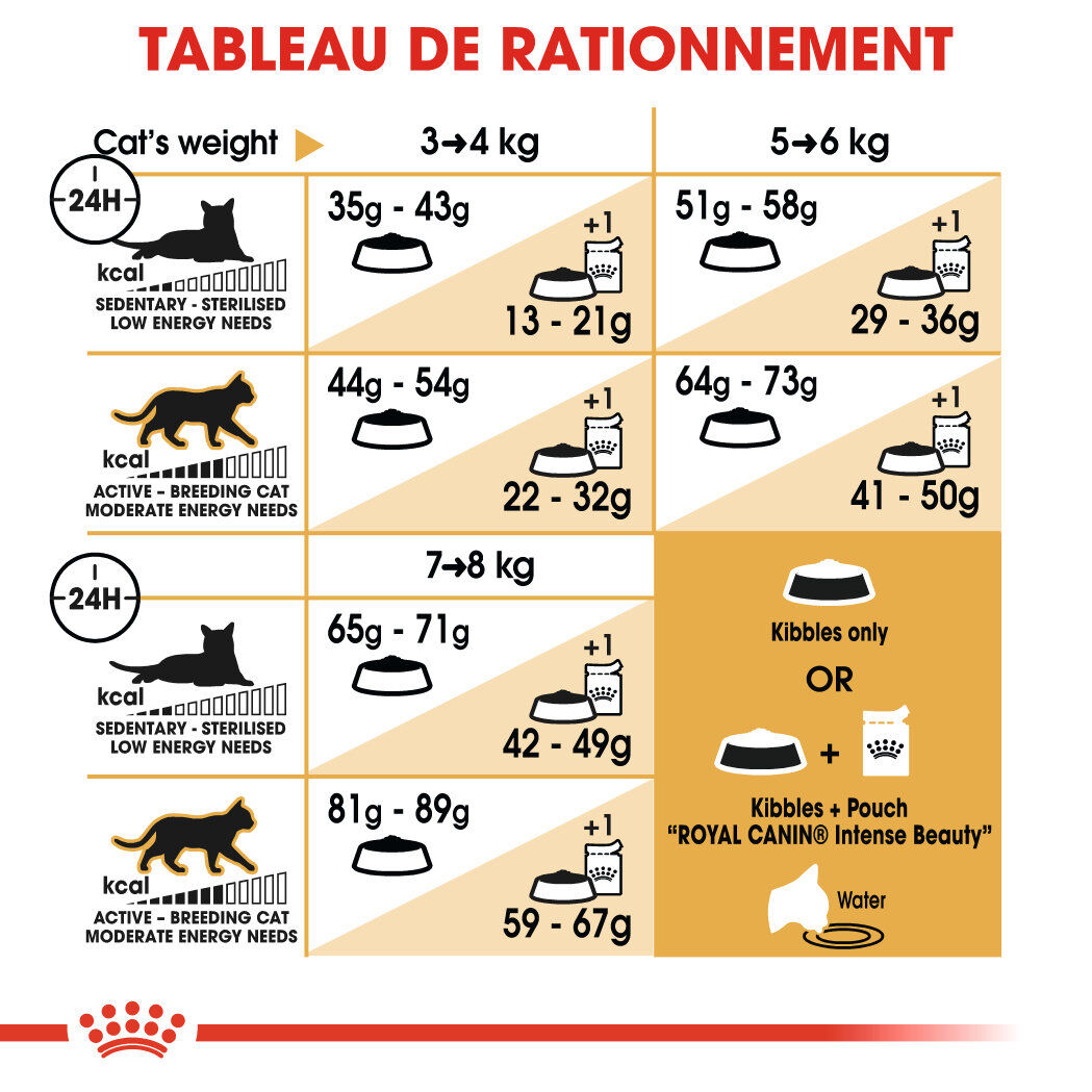 Royal Canin - Croquettes Norwegian Adult pour Chat - 2Kg Image num&eacute;ro 6