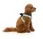 FuzzYard - Harnais Piña Colada pour Chien - M Indicateur image numéro 4