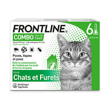 Frontline Combo - Pipettes Antiparasitaires Élimine les Puces pour Chat - 6x0,5ml