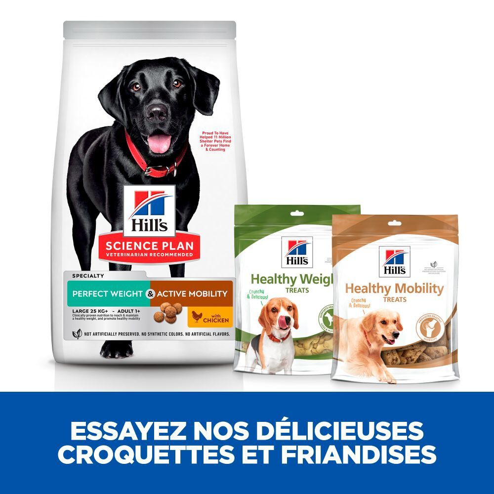 Hill's Science Plan - Perfect Weight & Active Mobility Croquettes Chien Adulte Grande Race Poulet -12kg Image num&eacute;ro 4