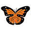 KONG - Jouet Crackles Papillon pour Chats - 34cm Indicateur image numéro 2