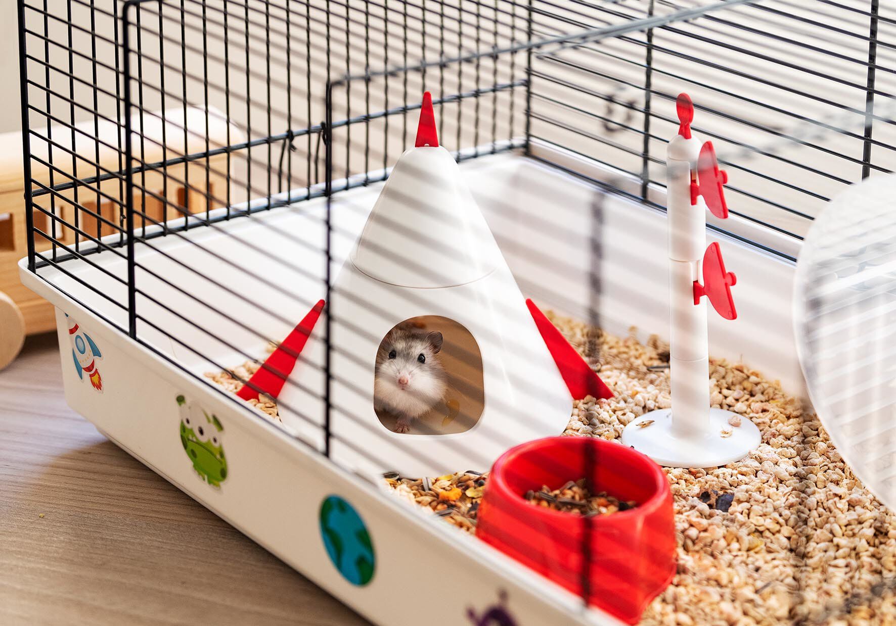 Ferplast - Cage Criceti 9 Space pour Hamsters Image num&eacute;ro 6