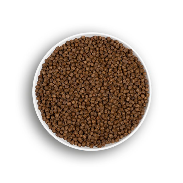 Era - Croquettes Sans C&eacute;r&eacute;ales Poulet et Dinde pour Chatons - 3kg Image num&eacute;ro 3