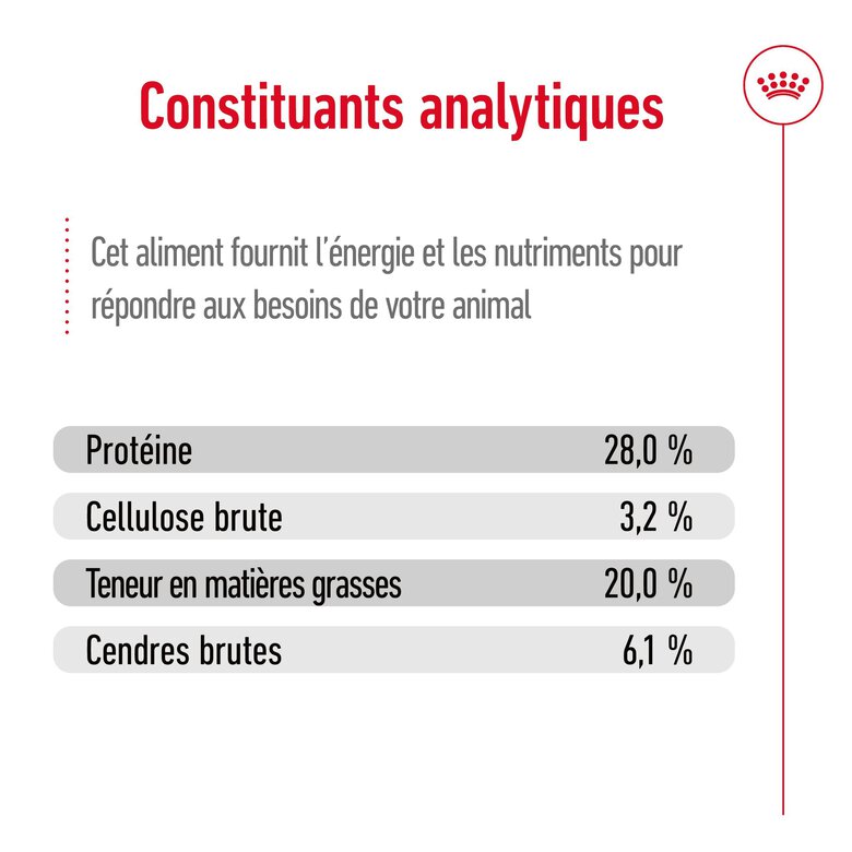 Royal Canin - Croquettes Giant Adult pour Chien - 15Kg Image numéro 7 Royal Canin - Croquettes Giant Adult pour Chien - 15Kg Image numéro 7