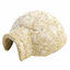 Rosewood - Abri Igloo de Noël pour Hamster Indicateur image numéro 1
