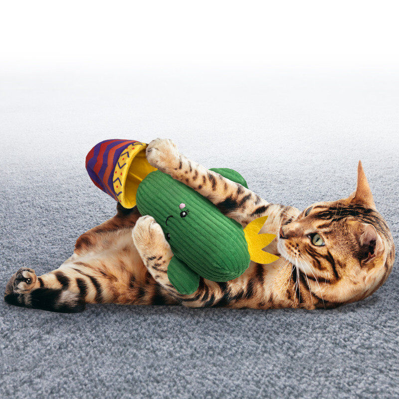 KONG - Jouet Cactus Wrangler Catnip pour Chats Image num&eacute;ro 3