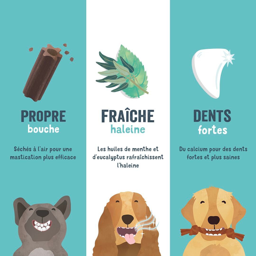 Edgard & Cooper - Sticks &agrave; M&acirc;cher Dental Naturel &agrave; la Menthe et Fraise fraiche pour Chien - L Image num&eacute;ro 4
