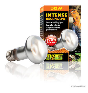 Exo Terra - Lampe Intense Basking Spot - 50W