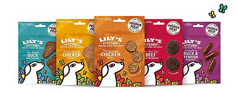 Lily's Kitchen - Friandises Duck Mini Fillets au Canard pour Chien - 70g Image numéro 2 Lily's Kitchen - Friandises Duck Mini Fillets au Canard pour Chien - 70g Image numéro 2