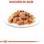 Royal Canin - Sachets Sterilised en Gelée pour Chat - 12x85g Indicateur image numéro 4