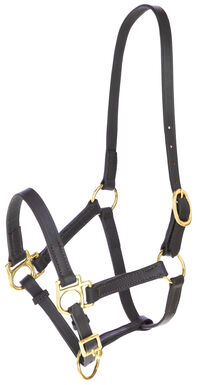Covalliero - Licol Réglable Eco, cuir marron