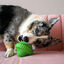 KONG - Jouet Balle Squeezz Orbitz pour Chiens - M/L Indicateur image numéro 4